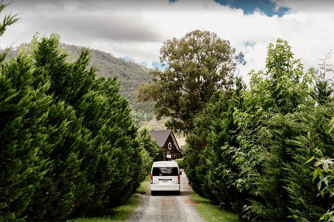 Barefoot Luxury Mount Tamborine Winery Tour from Brisbane - First stop: a national park break in Queensland