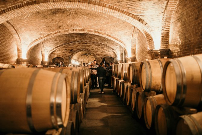 Barolo & Barbaresco Wine Tour with a Sommelier - Heading to Barolo: medieval village vibes and second winery time