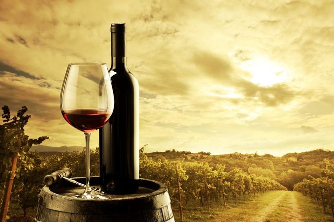 Barossa Valley Hop-On Hop-Off Wine Tour - Choosing Your Four Stops: A Real-World Strategy That Works