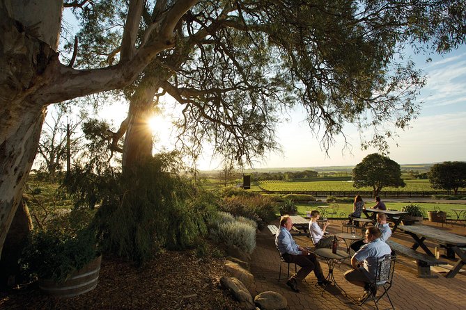 Barossa Valley Hop-On Hop-Off Wine Tour - The Stops You’ll Hear About Most: Maggie Beer, Saltram, Yalumba, and Beyond