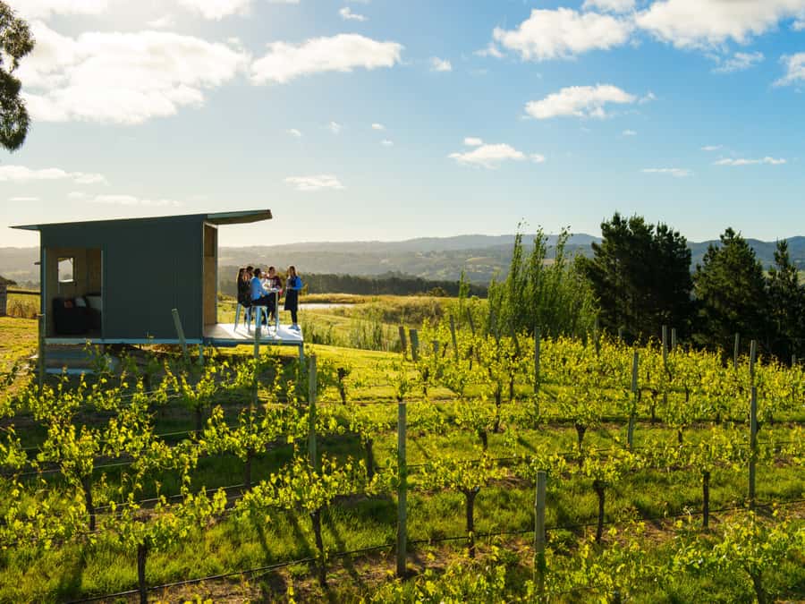 Barossa Wine Tour: Small Group 8 max, Rare, Unique, Premium - A max-8 day where the winemaker actually hosts the pour