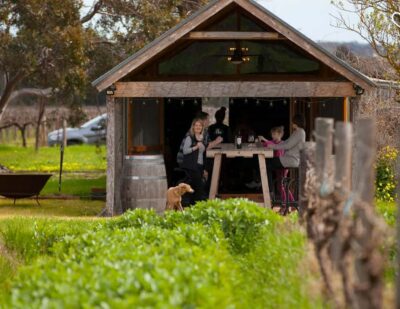 Barossa Wine Tour: Small Group 8 max, Rare, Unique, Premium - Door-to-door pickup in South Australia: how the day starts