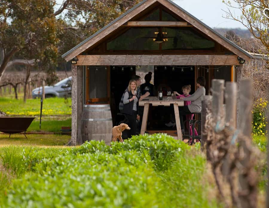 Barossa Wine Tour: Small Group 8 max, Rare, Unique, Premium - Door-to-door pickup in South Australia: how the day starts