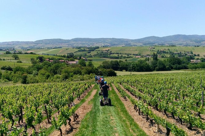 Beaujolais Segway Tour with Wine Tasting - Why this Beaujolais Segway tour is such a smart mix