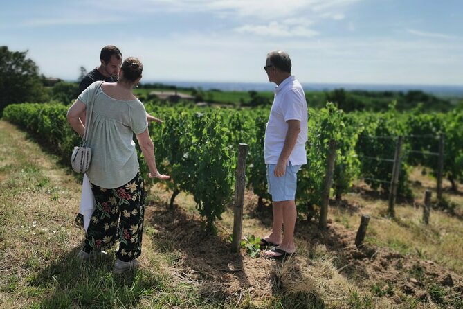 Beaujolais wine tour from Lyon half day - Le Bois-d’Oingt: Meeting the producer and tasting across reds, whites, and maybe rosé
