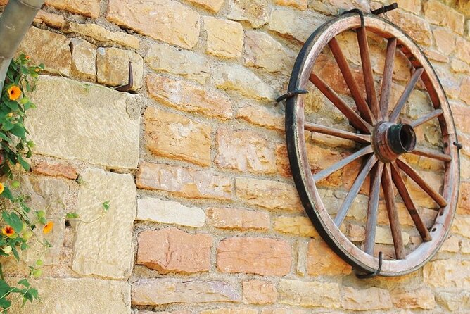 Beaujolais wine tour from Lyon half day - Price and value: is $131.82 worth it?