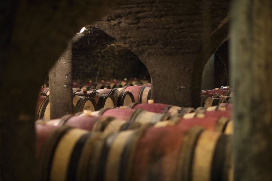 Beaune: Maison Champy Guided Cellar Tour with Wine Tasting - How much is it really worth at $29 for 90 minutes?