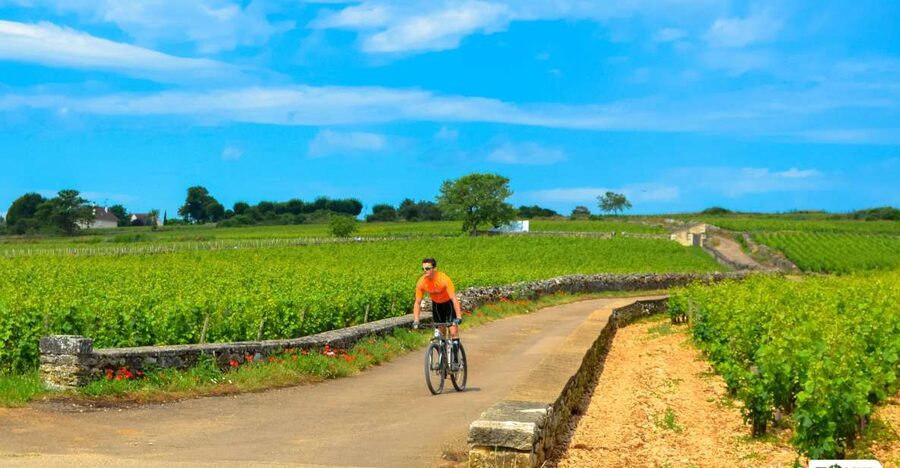 Beaune: Winery Tour by Bike with Wine Tasting - Why bike through Côte de Beaune feels like the right kind of Burgundy