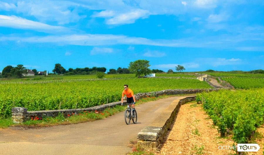 Beaune: Winery Tour by Bike with Wine Tasting - Pommard and Volnay vineyards: the ride that keeps the day interesting