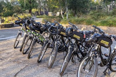 Behind-the-Scenes Food and Wine E-Bike Tour - Getting rolling: the Sonoma meeting point and a fast Sonoma Plaza start