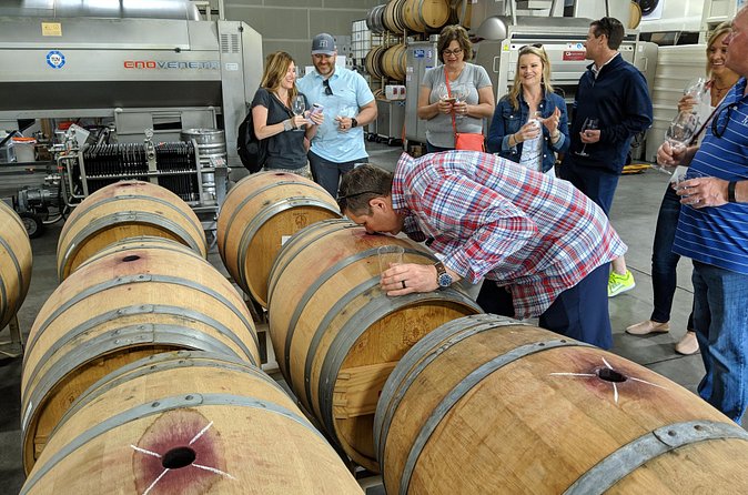 Behind-the-Scenes Food and Wine E-Bike Tour - Buena Vista Winery: another 45 minutes where the guide sets the scene