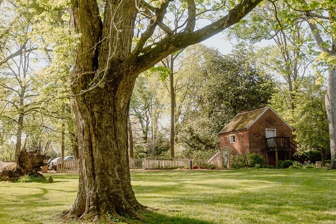 Belle Meade Guided Mansion Tour with Complimentary Wine Tasting - Price and value: does $33 feel fair for what you get?