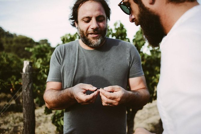 Bertrand Bosc wine and food tour in Pic St Loup - Key highlights worth your time