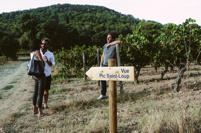 Bertrand Bosc wine and food tour in Pic St Loup - Valflaunes countryside drive: the scenic filler that actually matters