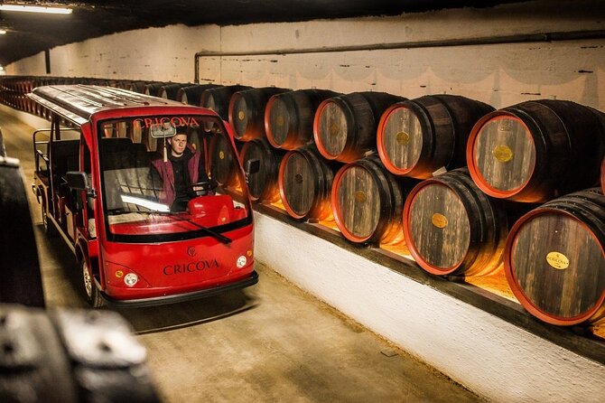 Best of Moldova: Cricova Winery & Old Orhei Tour including Curchi Monastery - Cricova Winery: 60–80 Meters Down in an Underground Wine City