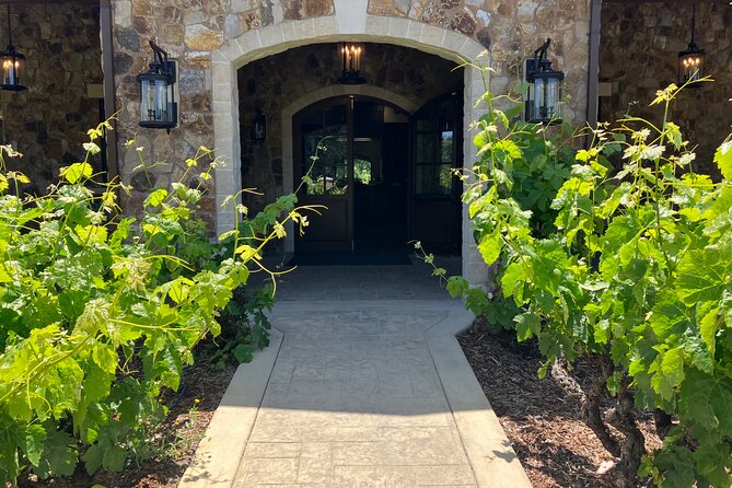 Best Private Wine Tours of Napa Valley-Sonoma for up to 8 people - What the Group Experience Feels Like (Comfort, Photos, and Flow)