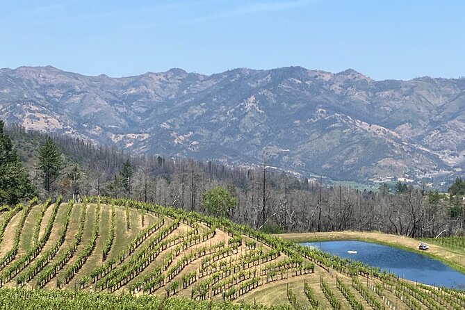 Best Private Wine Tours of Napa Valley-Sonoma for up to 8 people - Who This Tour Fits Best