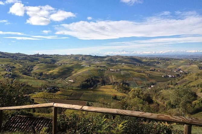 "Between Langhe and Monferrato" - Wine Tasting and Cellar Visit - The terrace tasting: six glasses, guided and paced