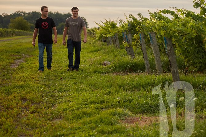 Between The Lines Classic Wine Tasting - Time, price, and value: is $18.78 worth it?