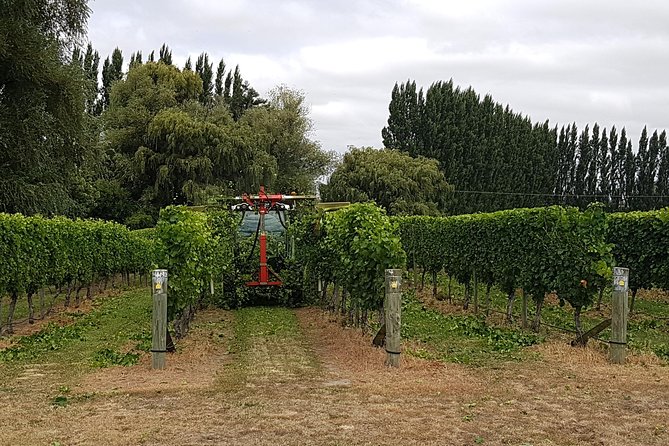 Beyond the Vines - Full-Day Marlborough Wine Tasting Tour - The Rest of the Winery Stops: Several Estates, Several Styles