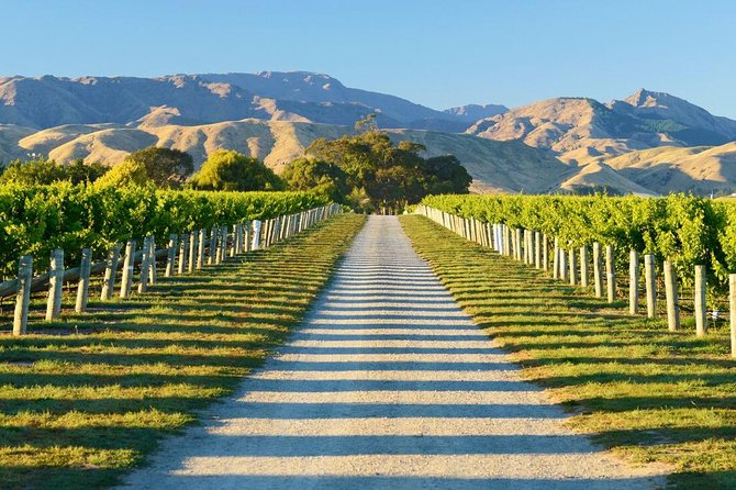Beyond the Vines - Full-Day Marlborough Wine Tasting Tour - Saint Clair Vineyard Kitchen: The Lunch Stop That Anchors the Day