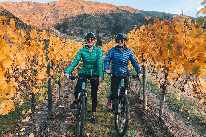 Bike The Wineries (Full-Day) - Bike & Wine Tour - Entering the Gibbston wine-trail vibe (and why it works)