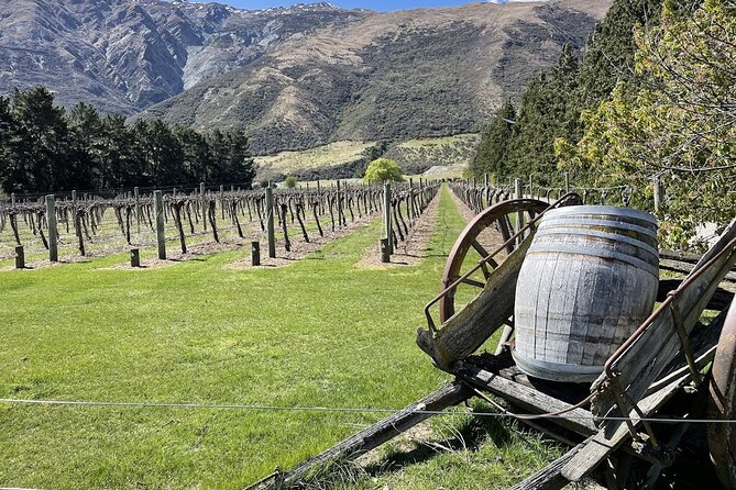 Bike & Wine Tour: Arrowtown to Valley of the Vines - Key things to know before you roll