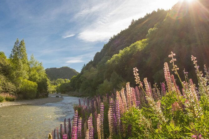 Bike & Wine Tour: Arrowtown to Valley of the Vines - Lunch and snacks: how to keep energy up before tastings