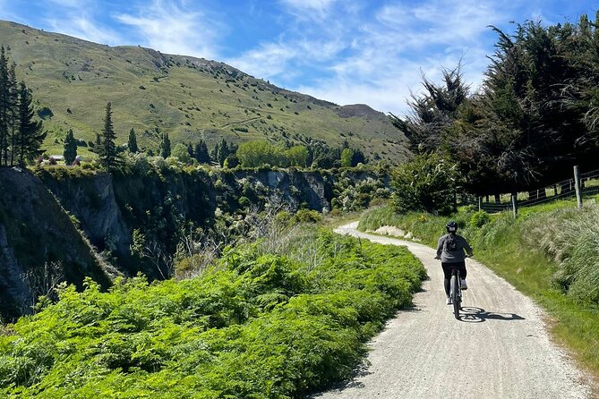 Bike & Wine Tour: Arrowtown to Valley of the Vines - Price and value: what $73.85 buys you in real terms