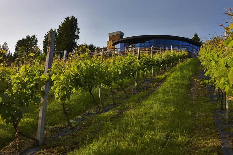 Bilbao: Gaztelugatxe, Bermeo, Mundaka, Gernika, & Wine Tour - Price and Value: Is $48 a Fair Deal for This Much Ground?
