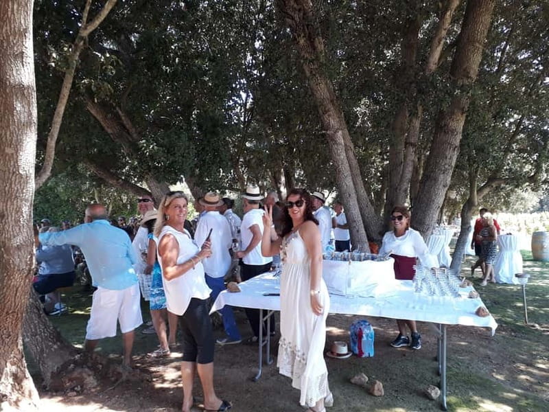 Binissalem: Individual vineyard tour and wine tasting in German - Small snacks and relaxed conversation that keep it easy