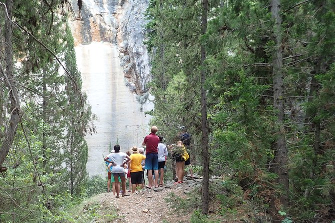 Bits of History - Half day kayak Tour with Wine delight - Kayaking reality check: choppy water, beginners, and safety