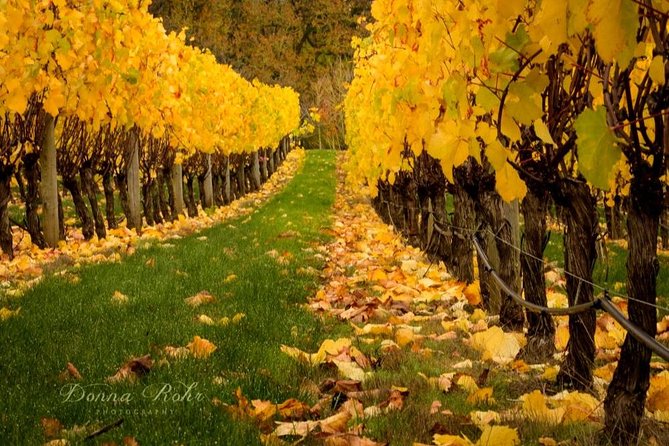 Blenheim Half day Wine Tour - Jade Tours: what the small-group setup changes for your day