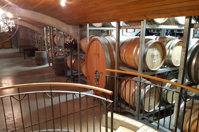 Blenheim Half day Wine Tour - Up to five cellar doors: how the tasting loop really feels