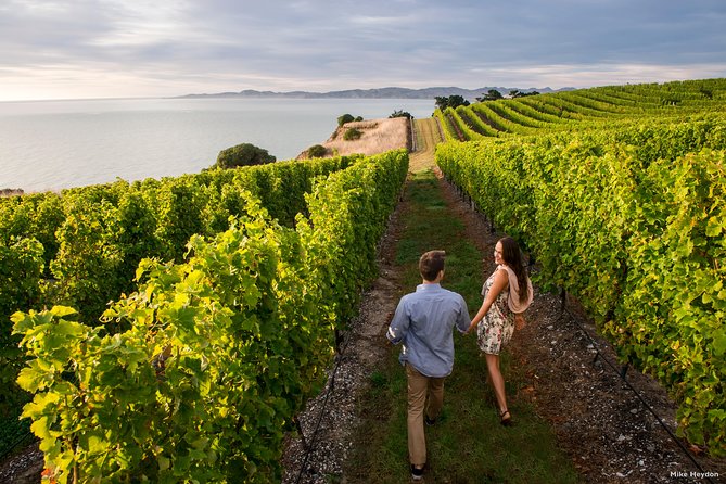 Blenheim Half day Wine Tour - Your start in Blenheim: pickup that keeps the tour simple