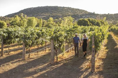Bliss - Sedona’s Most Luxurious Wine Tour - Lunch Included! - Price check: what $115 covers, and what to expect to pay on top