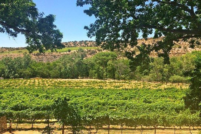 Bliss - Sedona’s Most Luxurious Wine Tour - Lunch Included! - Stop 2: Cove Mesa Vineyard in Cornville, lunch with 5-choice gourmet options