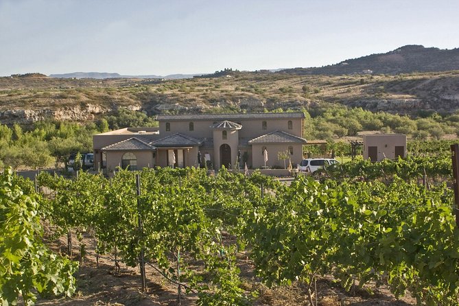 Bliss - Sedona’s Most Luxurious Wine Tour - Lunch Included! - Guides make the day: from wine talk to keeping the group happy