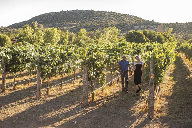 Bliss - Sedona’s Most Luxurious Wine Tour - Lunch Included! - Price check: what $115 covers, and what to expect to pay on top