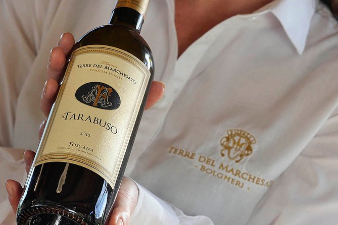 Bolgheri: Classic Wine Tasting with Winery Tour - Key things to know before you go