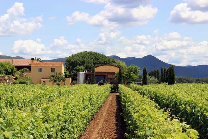 Bolgheri: Classic Wine Tasting with Winery Tour - Where the experience starts: meeting at the farm lands