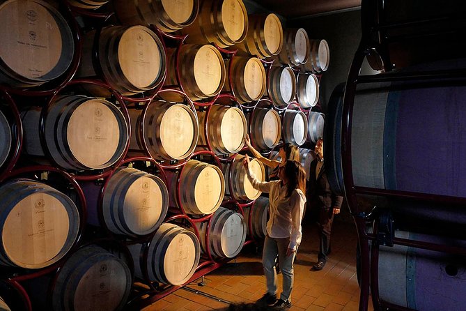 Bolgheri: Classic Wine Tasting with Winery Tour - Step two: the winery tour and the cellar details