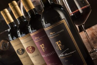 Bolgheri: Premium Wine Tasting with Winery Tour - In the Vines: How Terre del Marchesato Connects Wine to Place