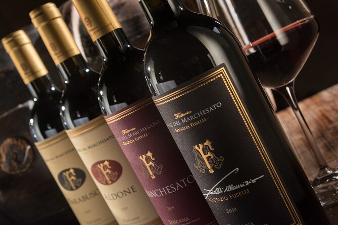 Bolgheri: Premium Wine Tasting with Winery Tour - In the Vines: How Terre del Marchesato Connects Wine to Place