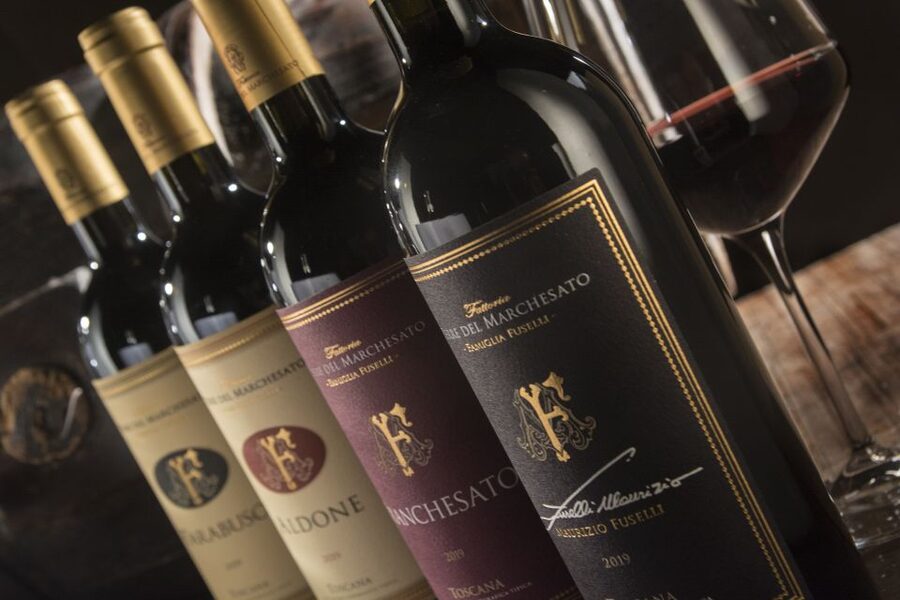 Bolgheri: Winery Tour with Wine Tasting - Key highlights you should know before you go