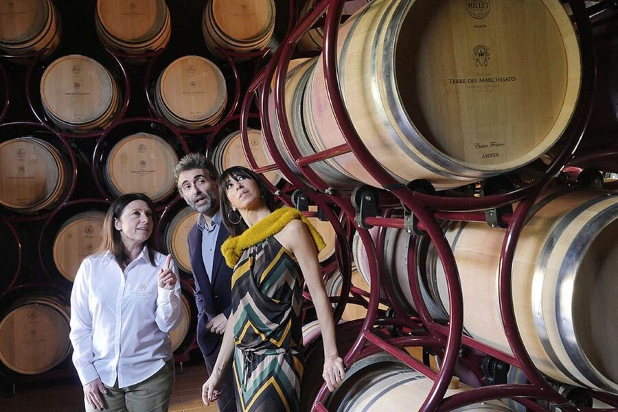 Bolgheri: Winery Tour with Wine Tasting - Choosing your tasting flight: Classic, Sensorial, or Premium
