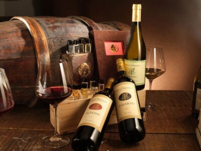 Bolgheri: Winery Tour with Wine Tasting - From grape to glass in about an hour: what actually happens