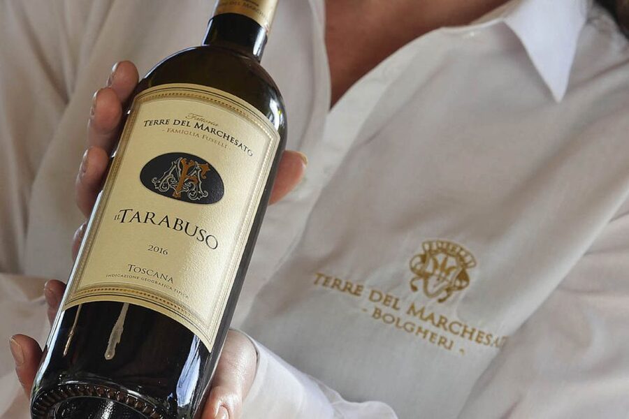 Bolgheri: Winery Tour with Wine Tasting - The wine names you’ll taste, and how to read them