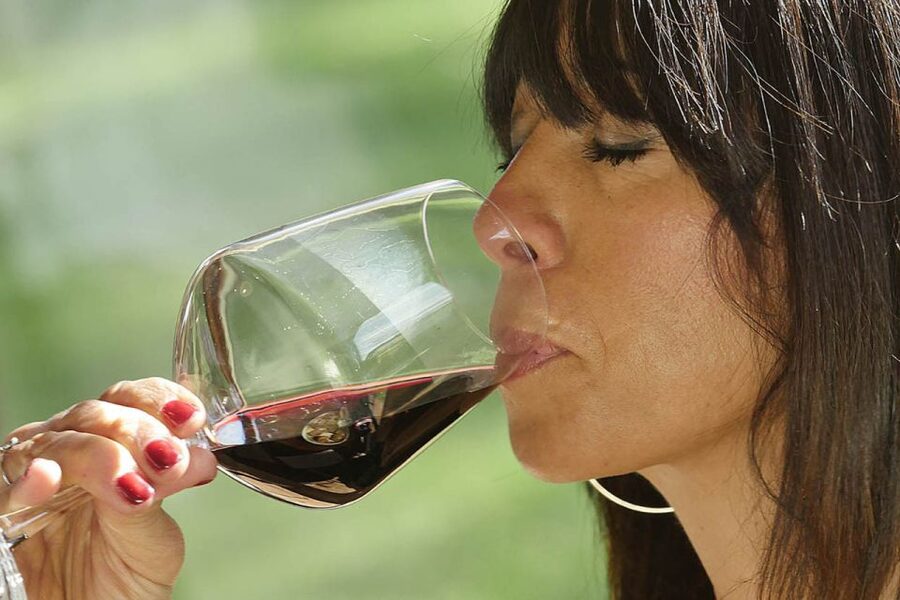 Bolgheri: Winery Tour with Wine Tasting - Price and value: why $29 can make sense here