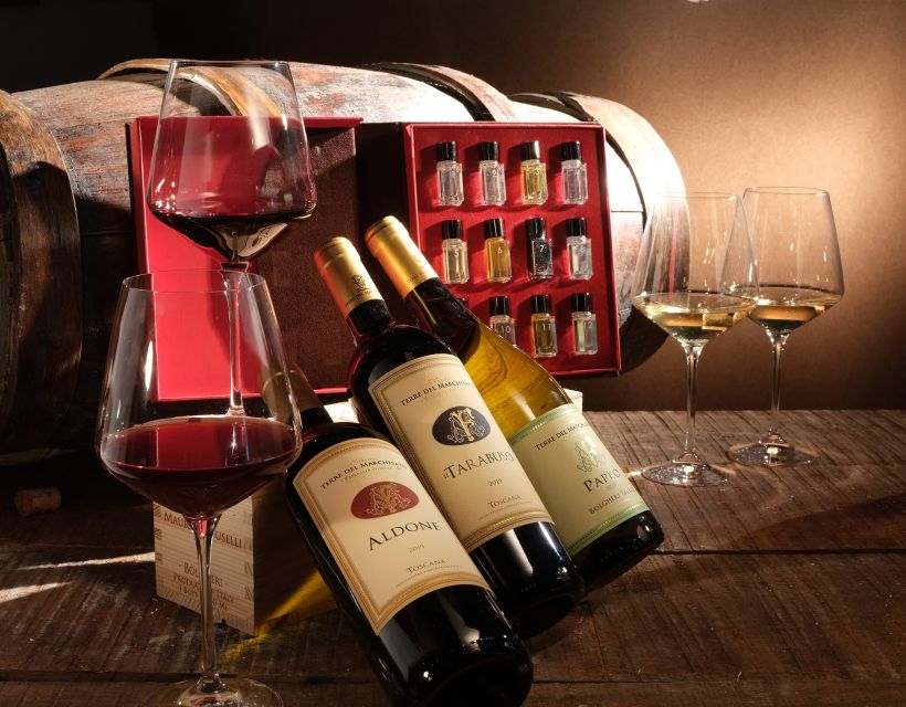 Bolgheri: Winery Tour with Wine Tasting - Logistics that affect your comfort: shoes, time, and getting there